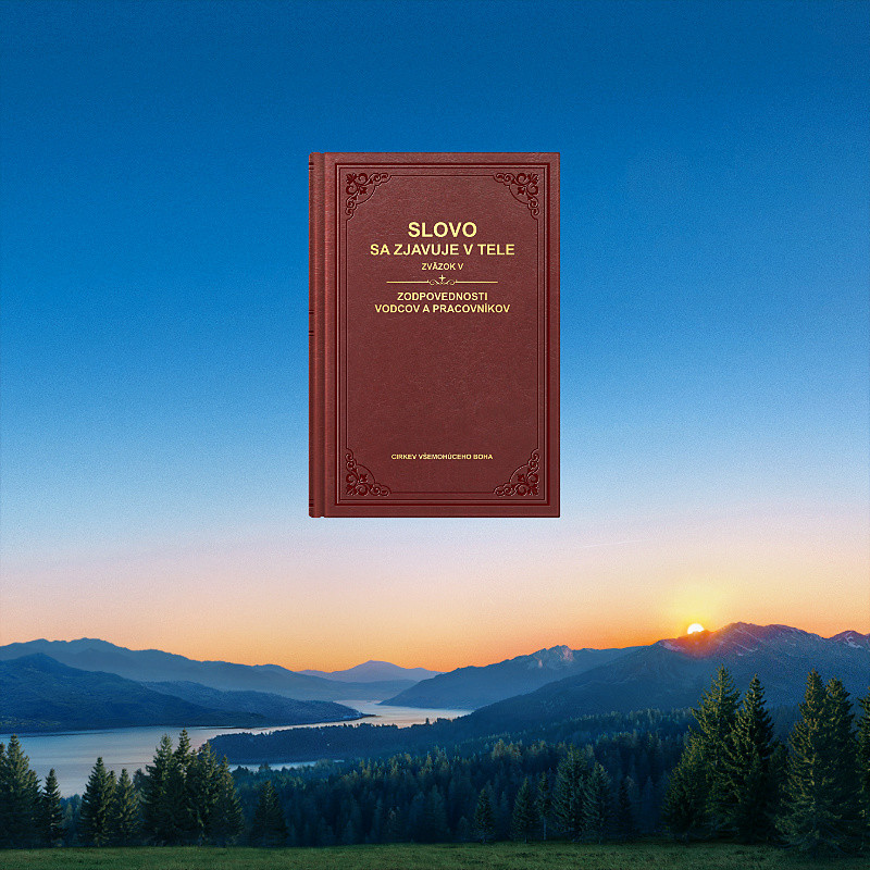 ZB-视频类-日出青松-(3840x2160像素)-20240122-日出