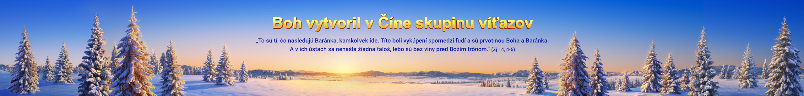 Banner-experience-pc-1